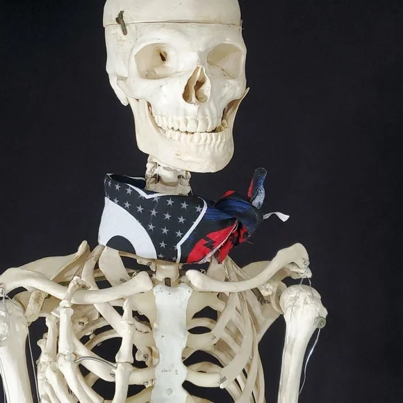 VTG Hot Topic Skelanimals Kit The Cat Square Bandana Scarf Accessory Sz 20"x 20" - Picture 15 of 16